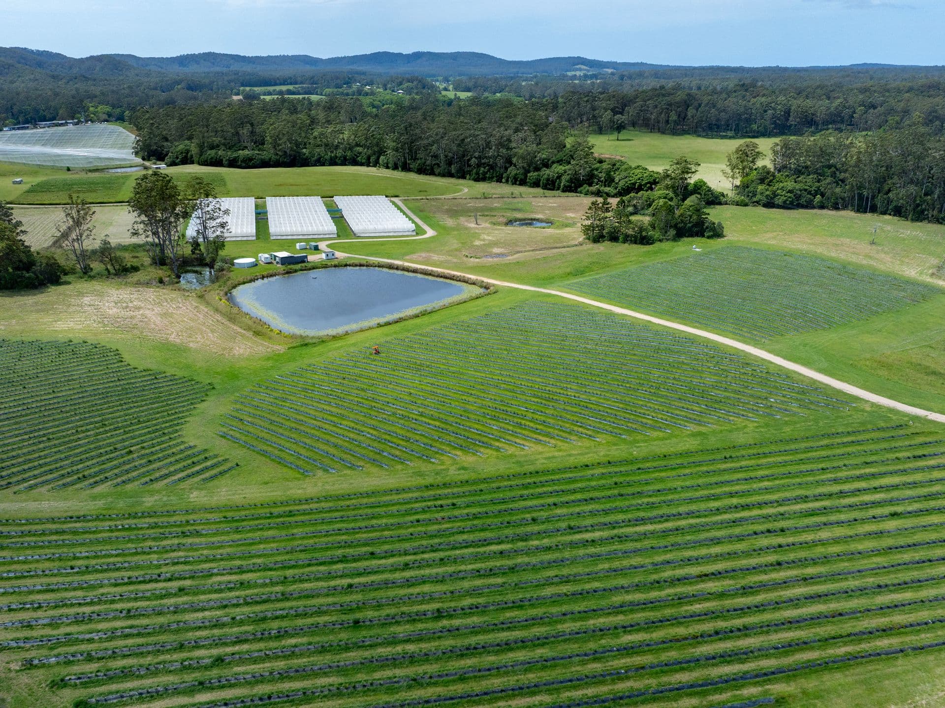 40B Hallgaths Road, Coffs Harbour, NSW, 2450, Coffs Harbour - Image 1