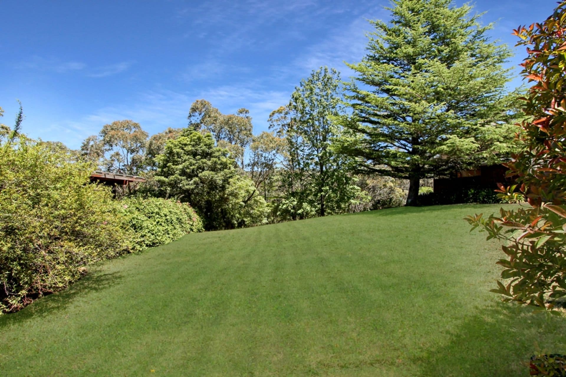 59 Boronia Road, Bullaburra, NSW, 2784, Bullaburra - Image 1