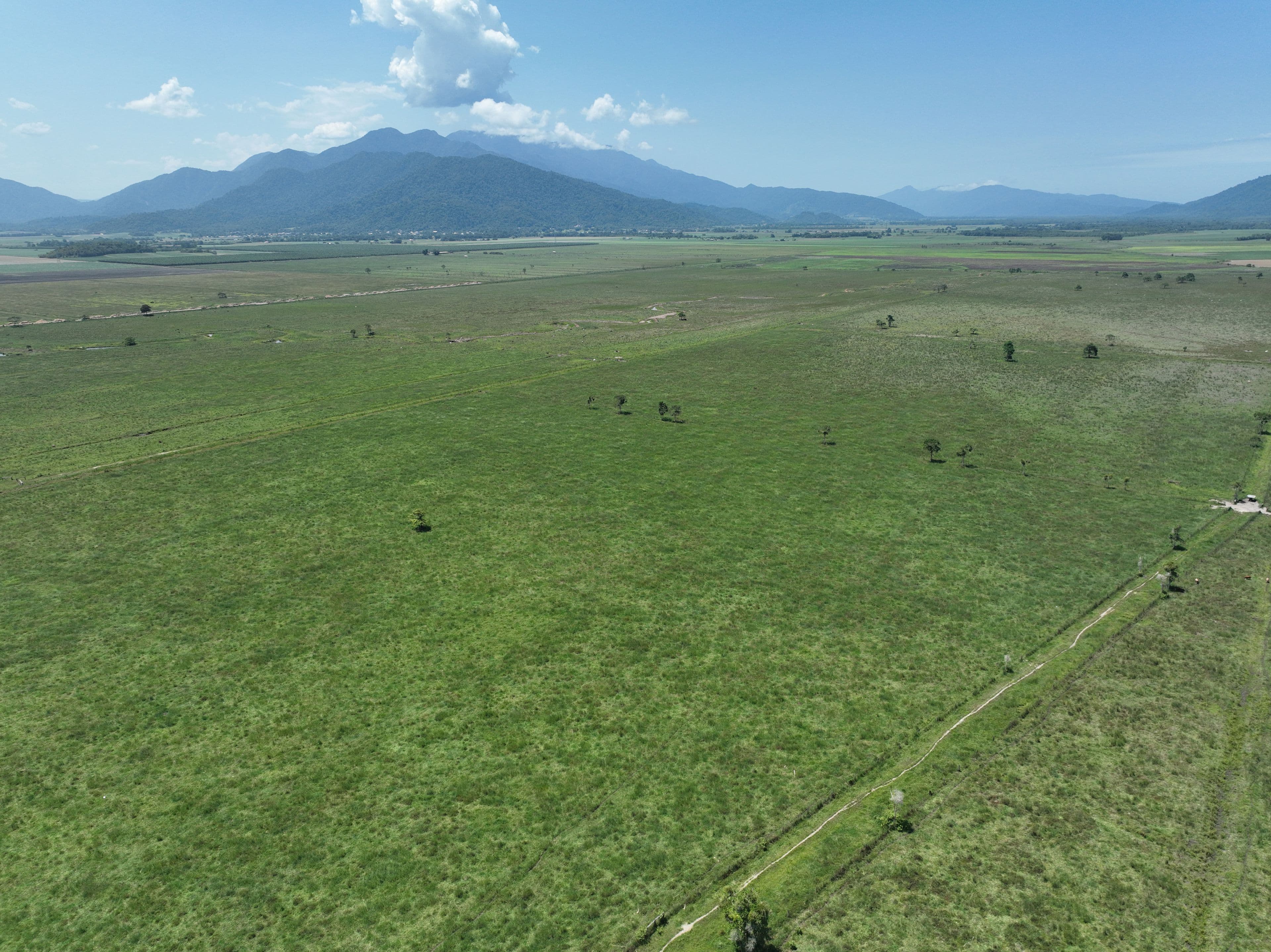 210 Booth Road, MIRRIWINNI QLD 4871, Mirriwinni - Image 1