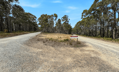123 German Town, ST MARYS, TAS 7215, St Marys - Image 1