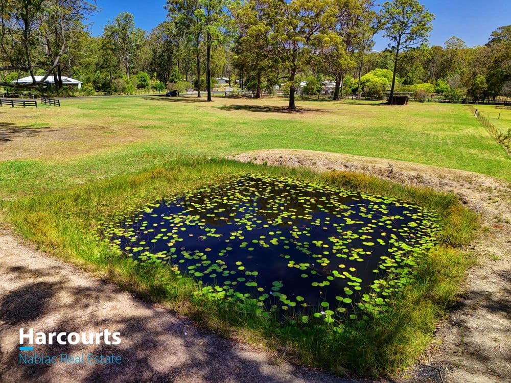 6 Sheltie Place, NABIAC, NSW 2312, Nabiac - Image 1