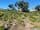 47 Sea Breeze Avenue, GOLDEN BEACH, VIC 3851, Golden Beach - Image 1