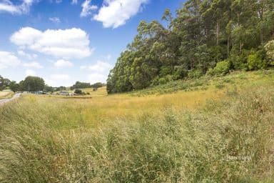 31 Sarah Road, RIANA, TAS 7316, Riana - Image 1