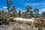 400 Tods Corner Road, TODS CORNER, TAS 7030, Tods Corner - Image 1