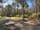 Lot 5 Gardiners Creek Road, ST MARYS, TAS 7215, St Marys - Image 1