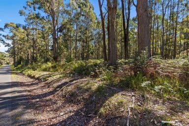 Bakers Lane, NORTHDOWN, TAS 7307, Northdown - Image 1
