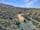 Lot 6/ Richardson Road, ST MARYS, TAS 7215, St Marys - Image 1