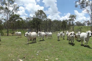 Lot 58/ Isis Highway, DALLARNIL, QLD 4621, Dallarnil - Image 1