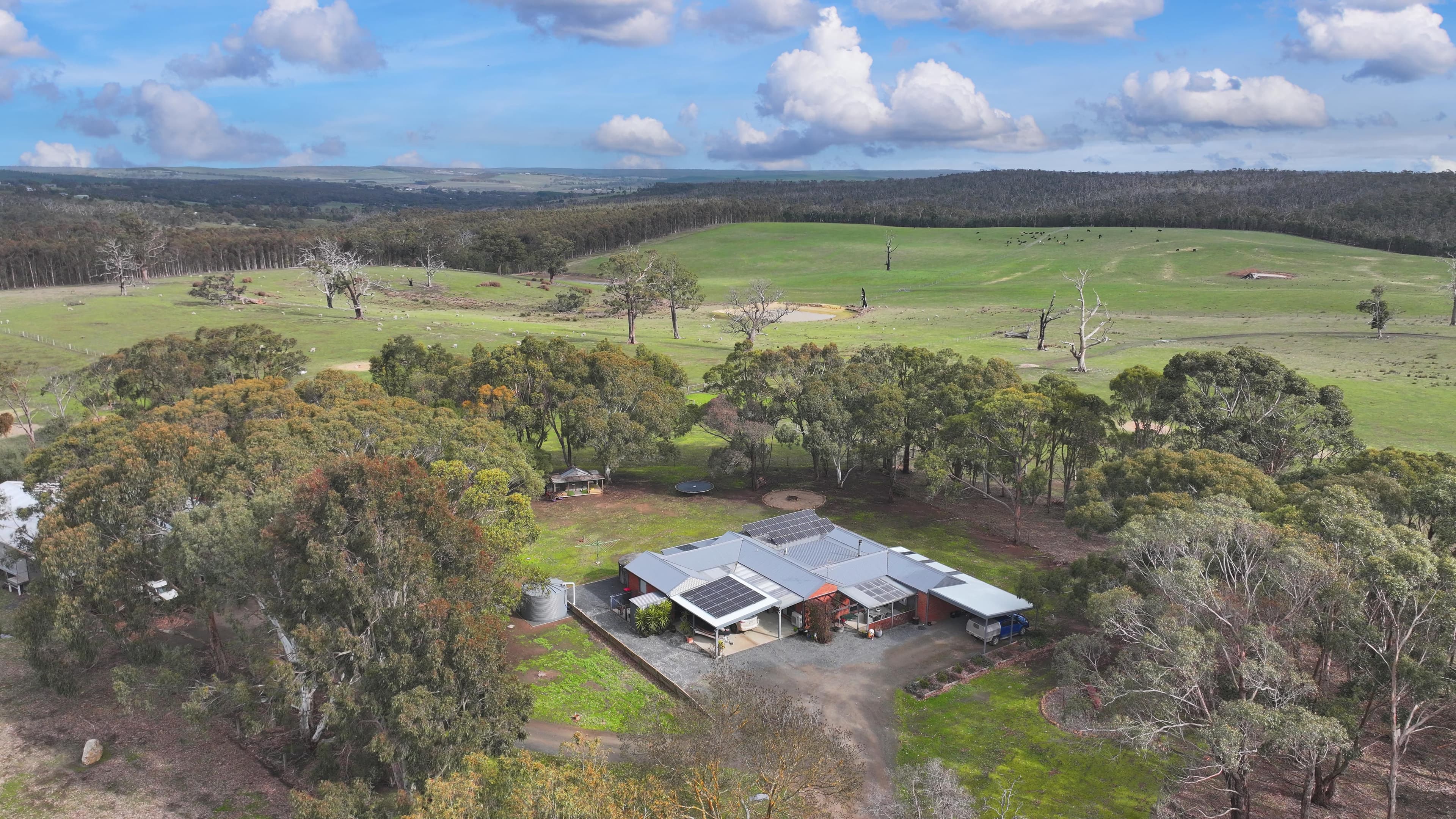 316 Pryors Road, Scotsburn VIC 3352, Scotsburn - Image 1
