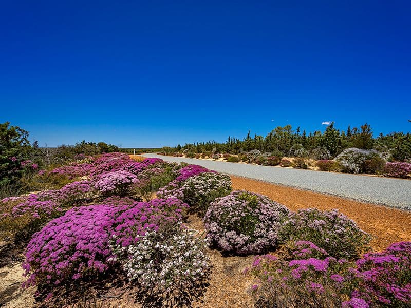 2 Ranch Court, Kalbarri WA 6536, Kalbarri - Image 1
