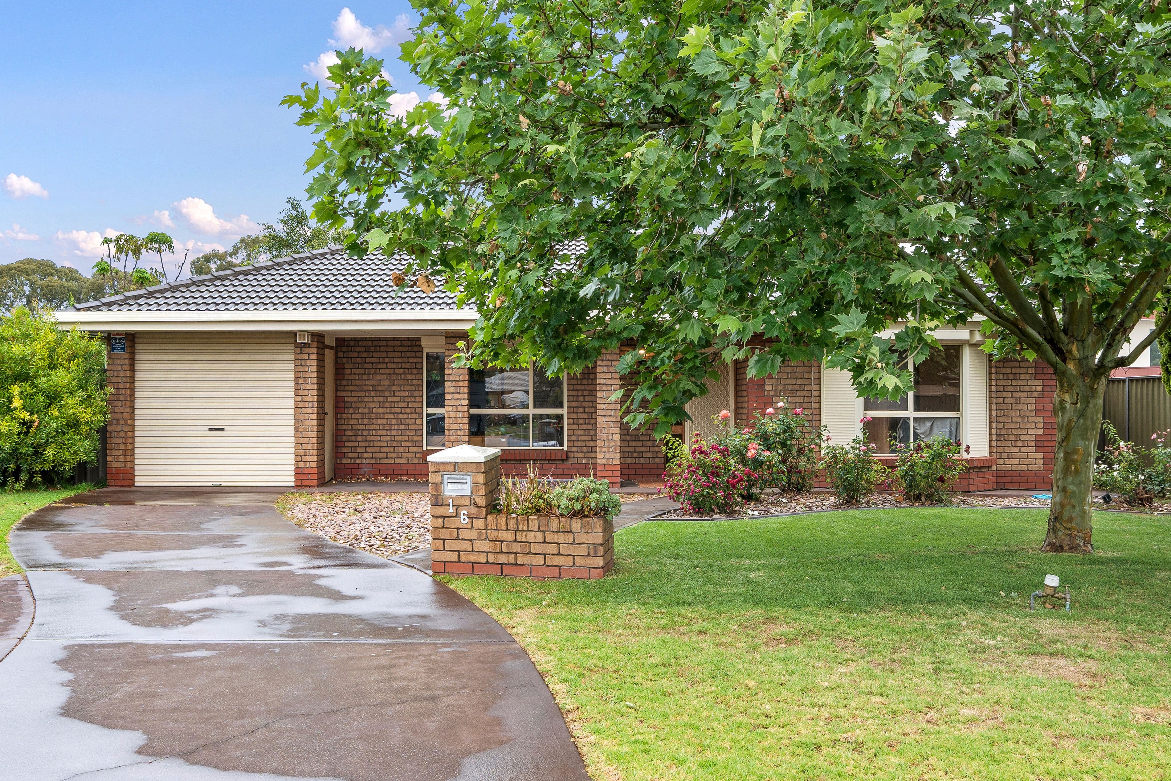 16 Carnation Court , Parafield Gardens SA 5107, Parafield Gardens - Image 1