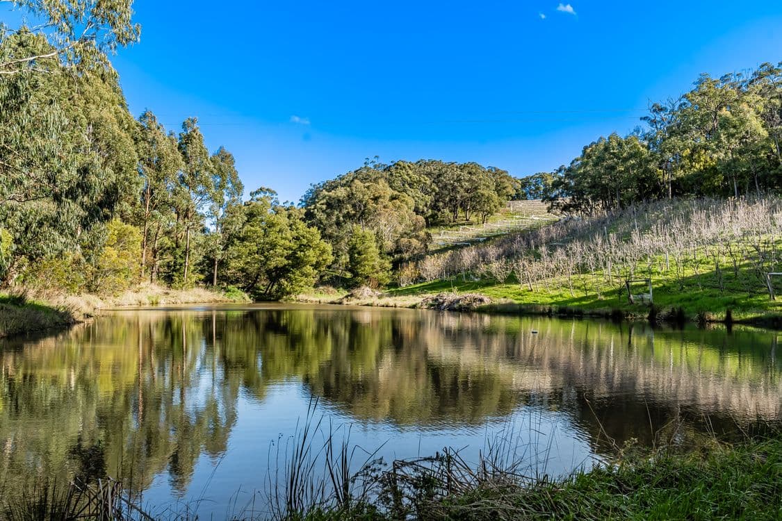 Section 385 Lobethal Road, FOREST RANGE, SA 5139, Forest Range - Image 1