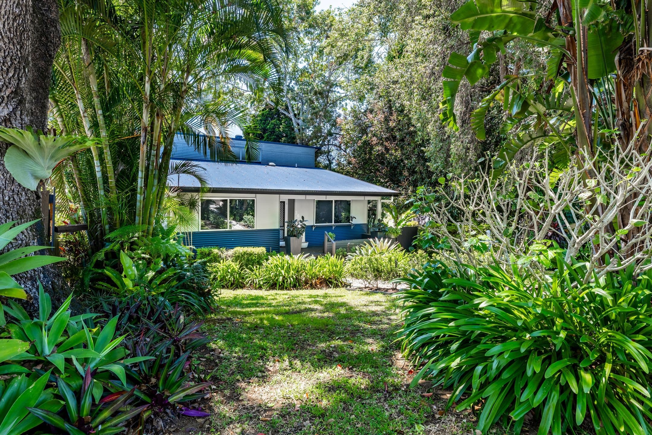36 Erbacher Road , Nambour QLD 4560, Nambour - Image 1