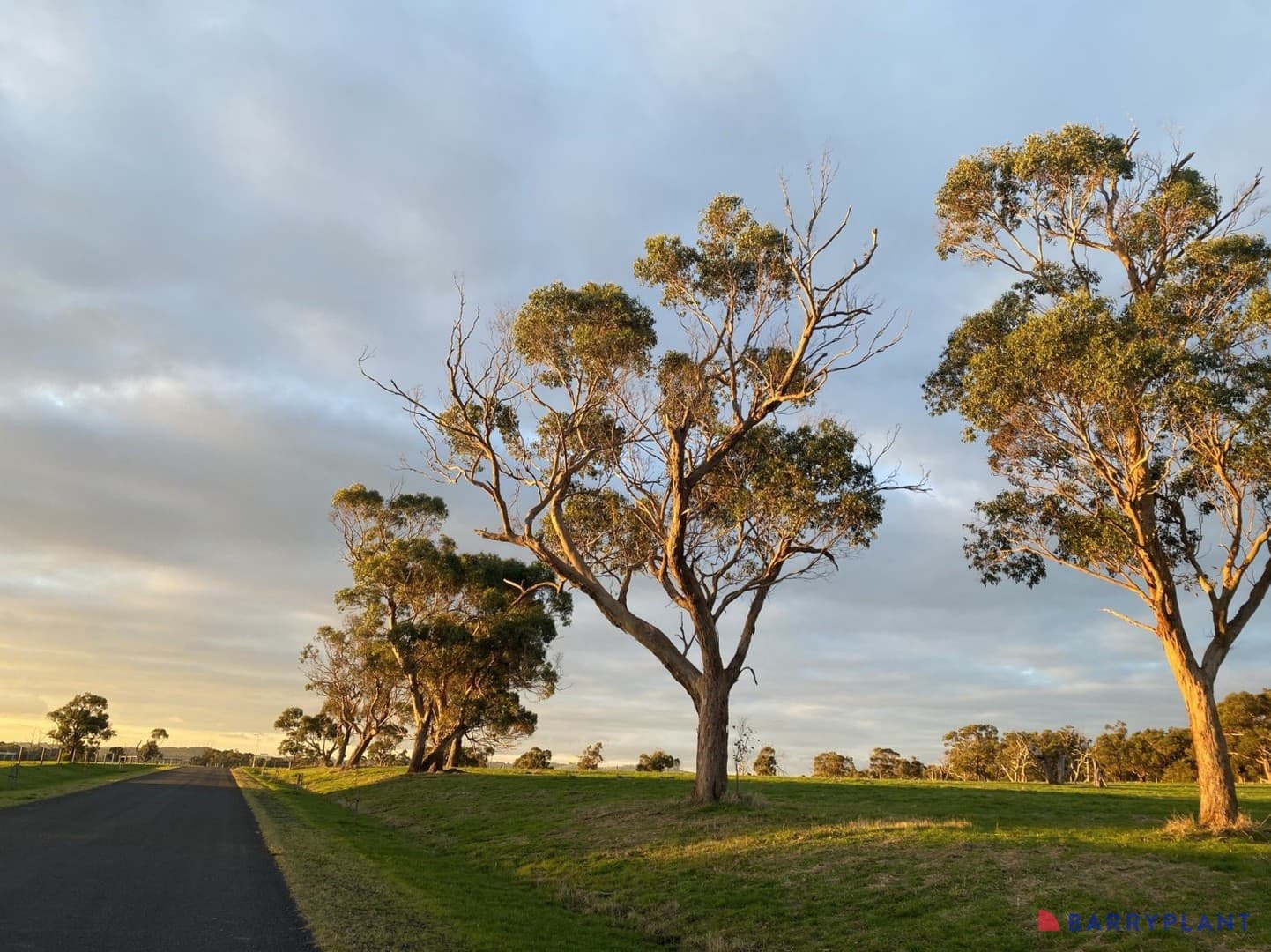 Majestic Vista, Wattle Bank, VIC 3995, Wattle Bank - Image 1