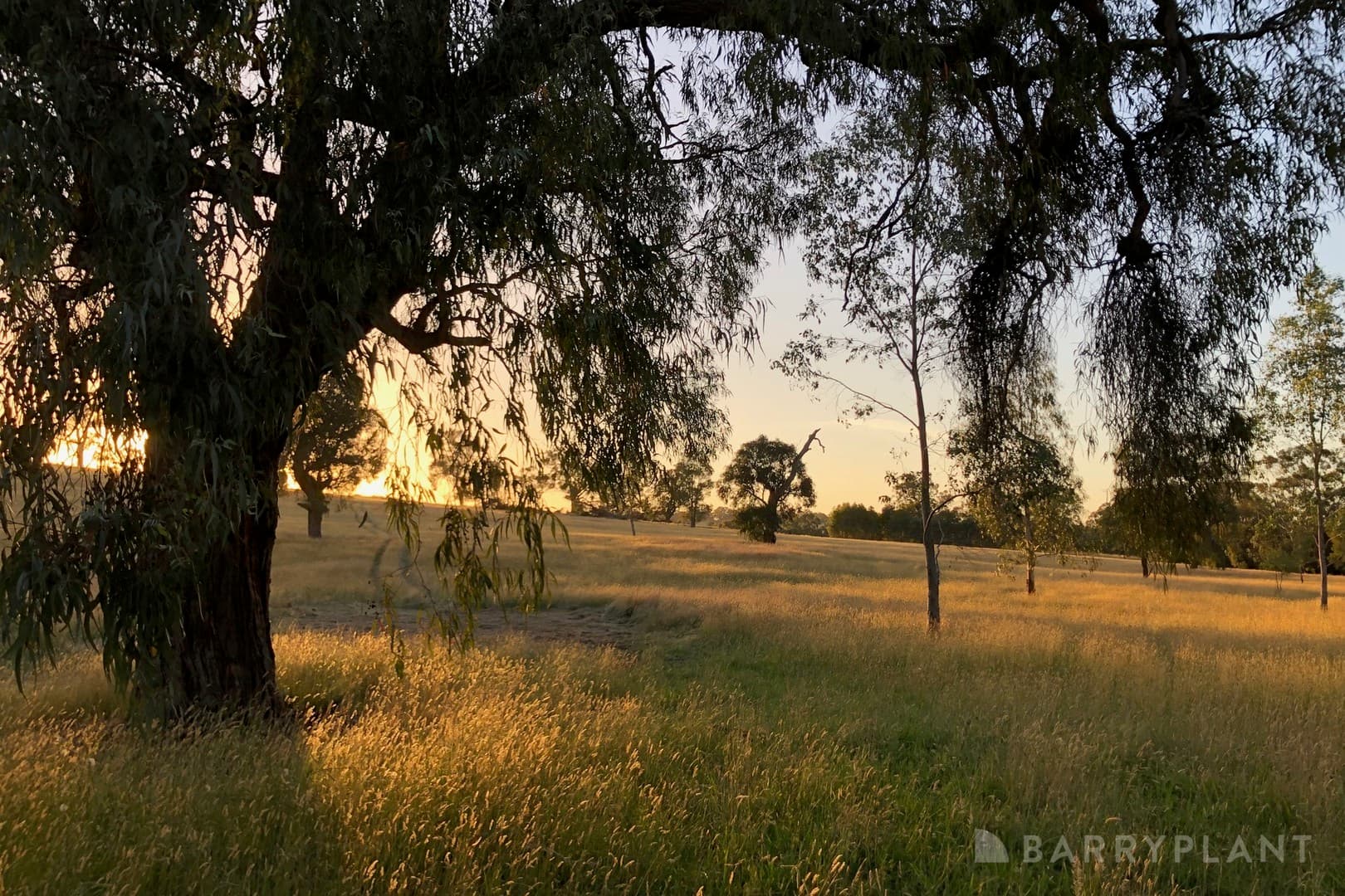 450 Sheepstation Creek Road, Yellingbo, VIC 3139, Yellingbo - Image 1