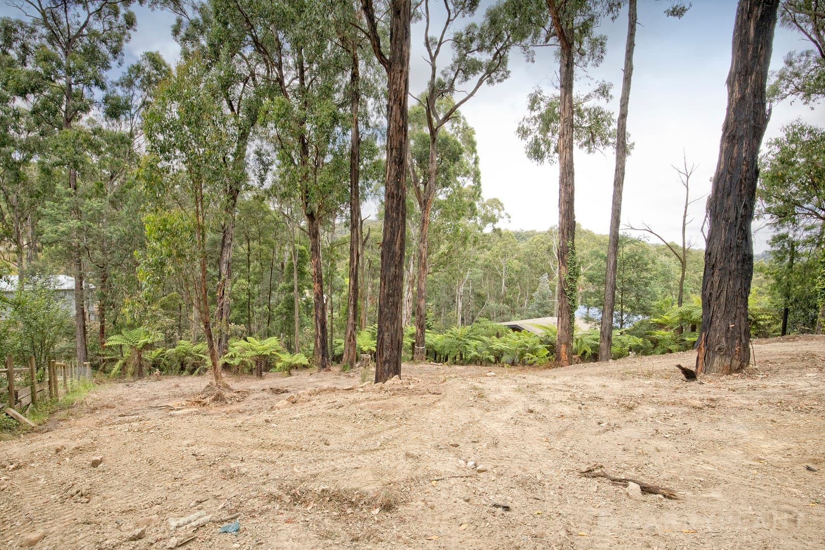 37 Mountain Road, Cockatoo, VIC 3781, Cockatoo - Image 1