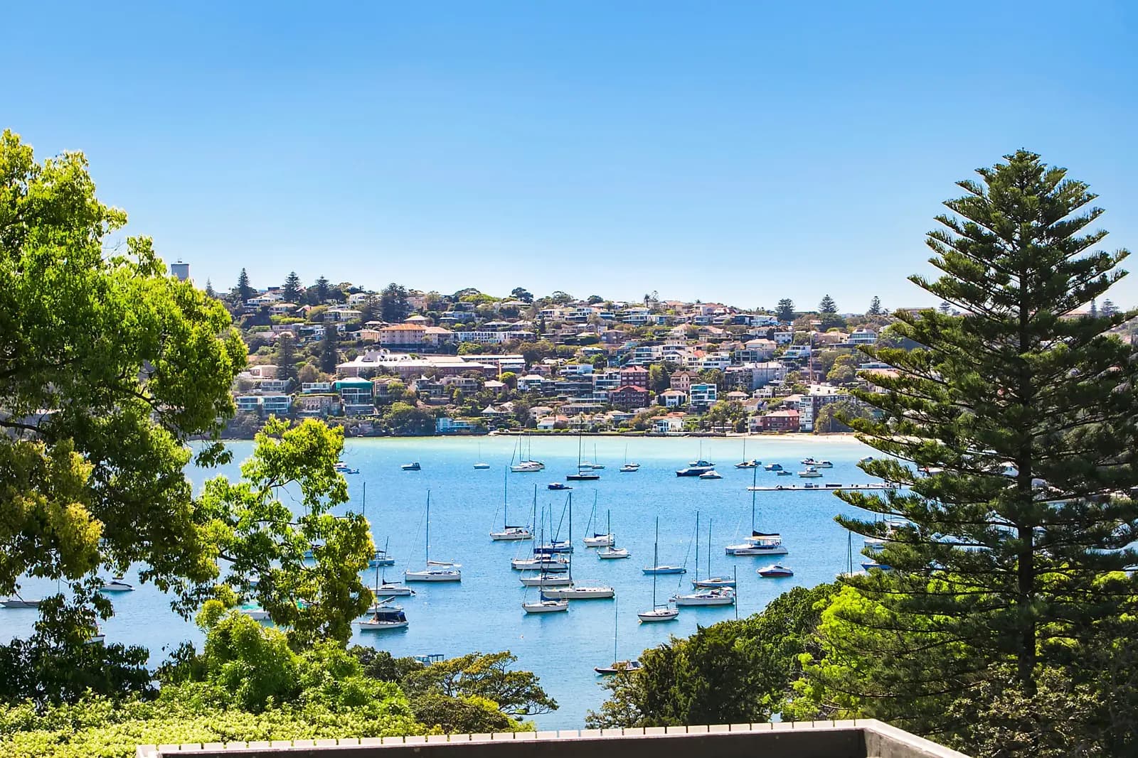 1/4 Aston Gardens, Bellevue Hill, Chapel Hill - Image 1