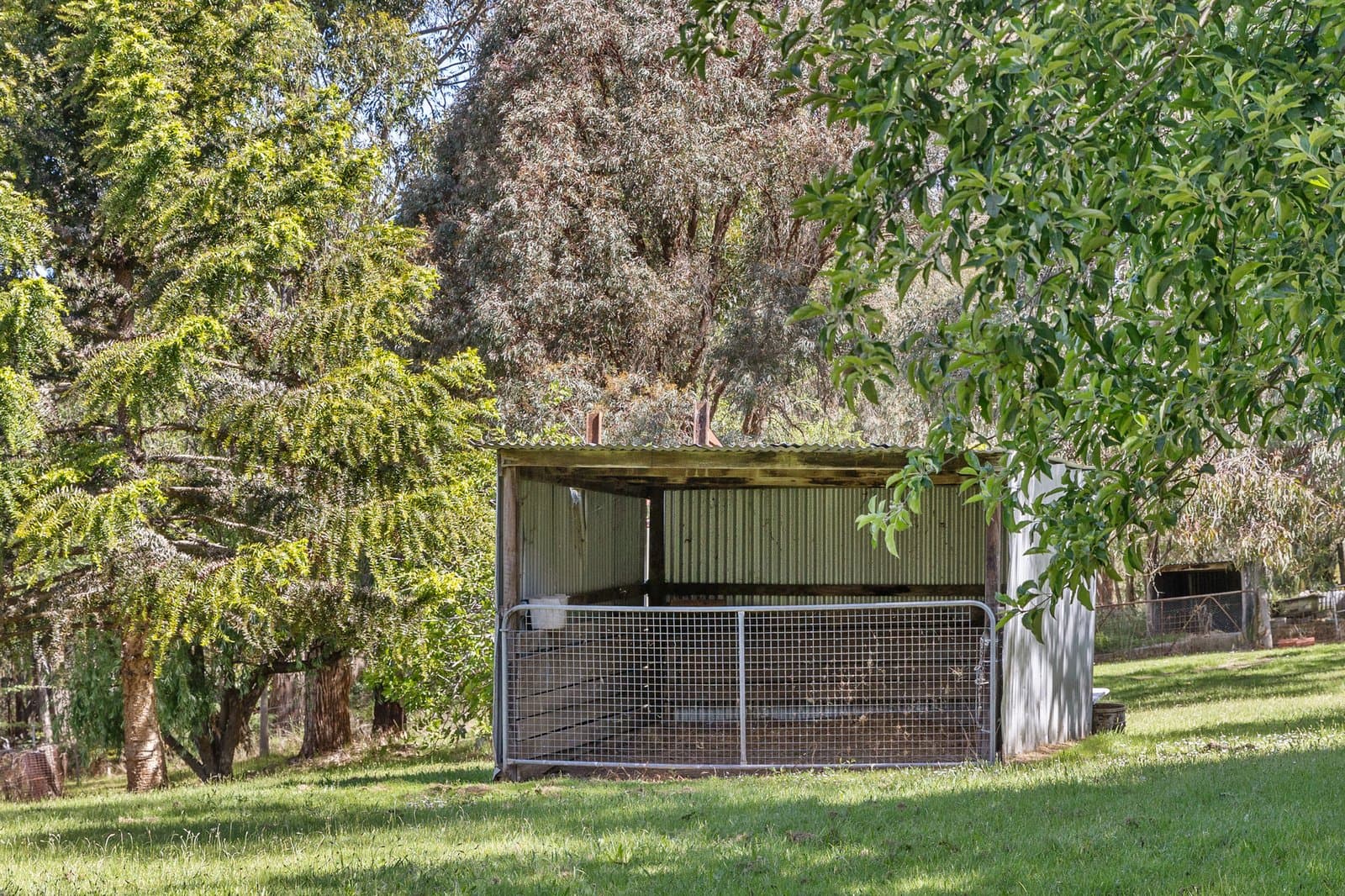 21 Junction Road, Merricks North, Merricks North - Image 1
