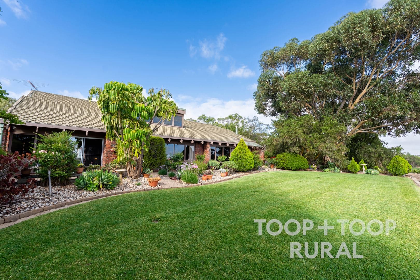 145 Tolley Road, Nuriootpa SA 5355, Nuriootpa - Image 1