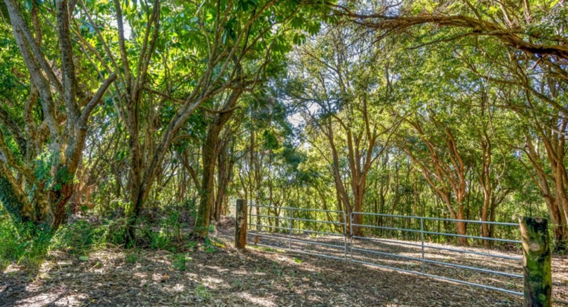 70 North Teven Road, Teven, NSW, 2478, Teven - Image 1