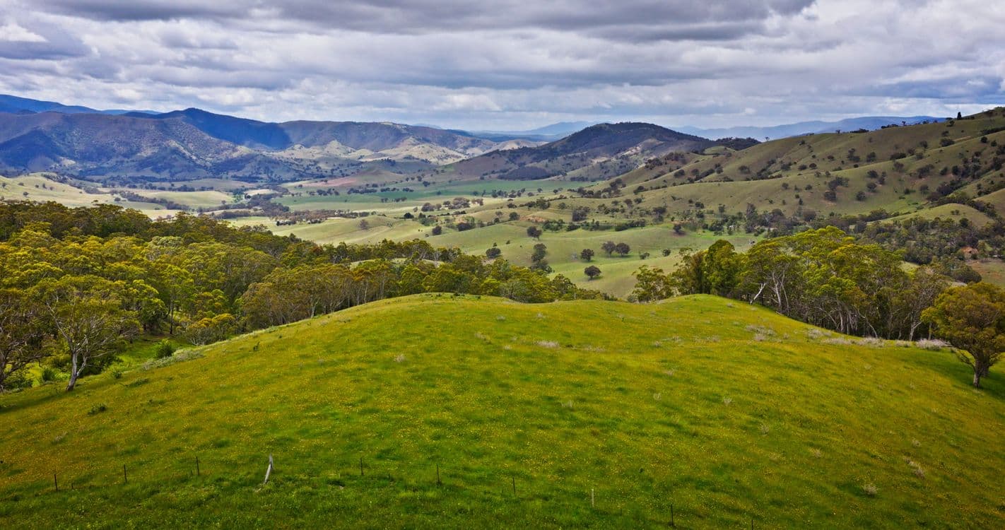 Lot 3 - 289 Tongio Gap Road, TONGIO, VIC 3896, Tongio - Image 1