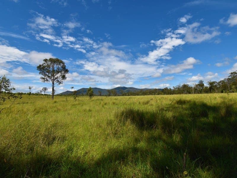 GOLDEN FLEECE QLD, Golden Fleece - Image 1