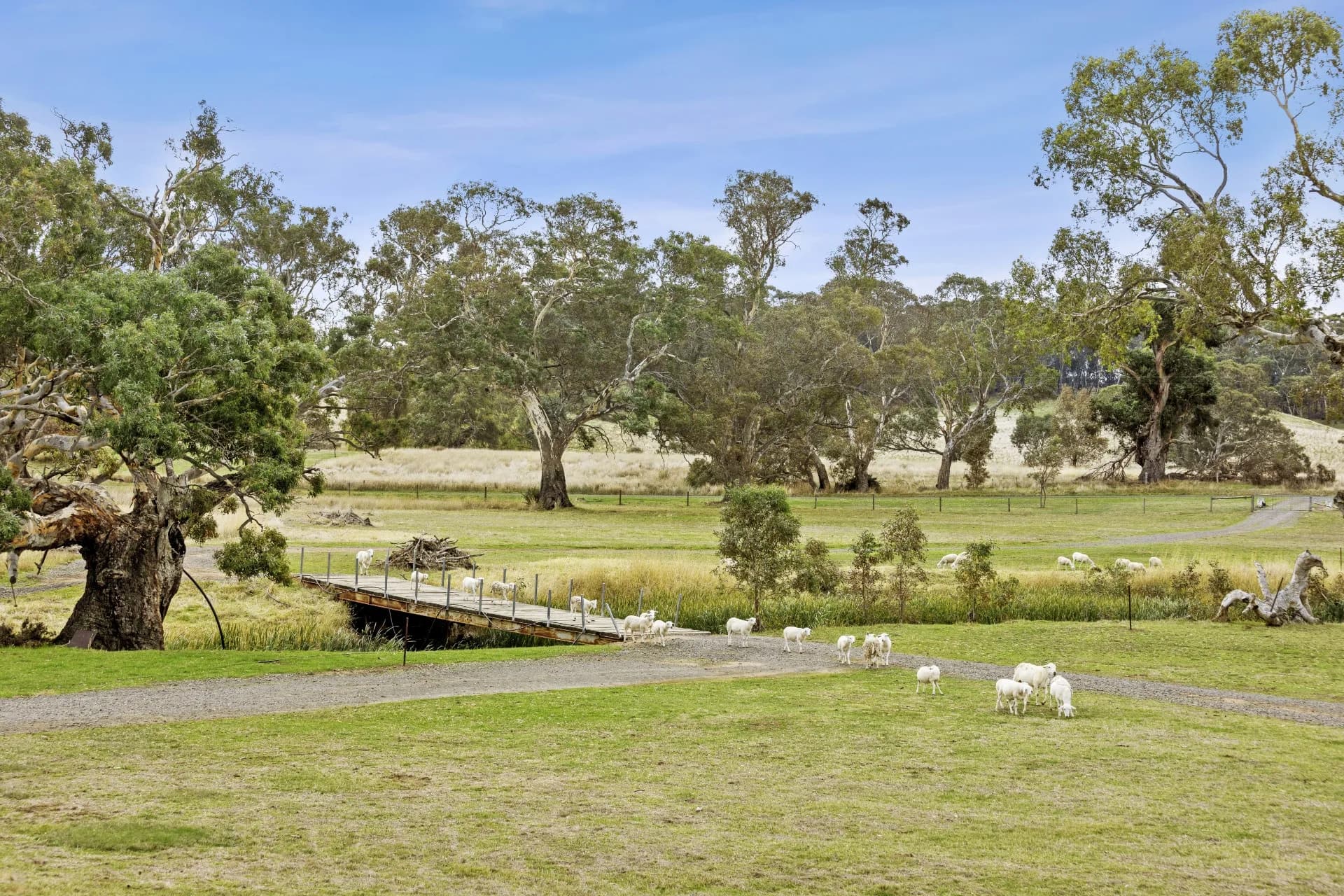155 Beckworth Court Road, Clunes, VIC, Clunes - Image 1