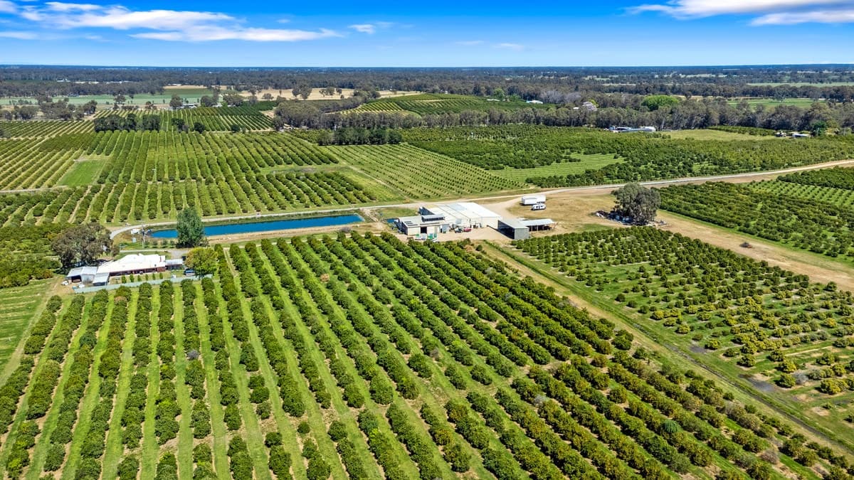 154-198 Torgannah Road, Koonoomoo VIC 3644, Koonoomoo - Image 1