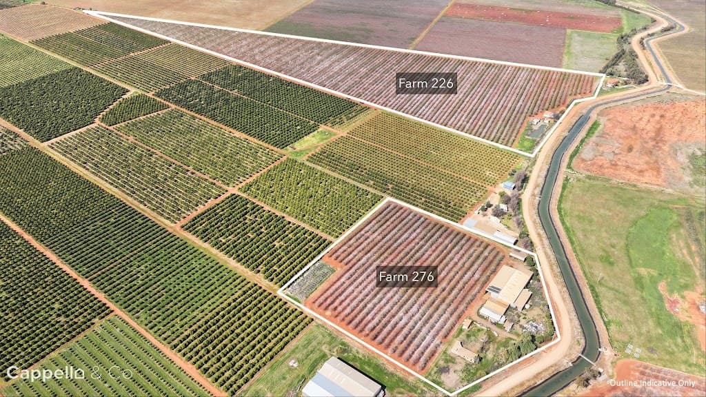 226 & 276 New Farms Road, Nericon, NSW, 2680, Nericon - Image 1
