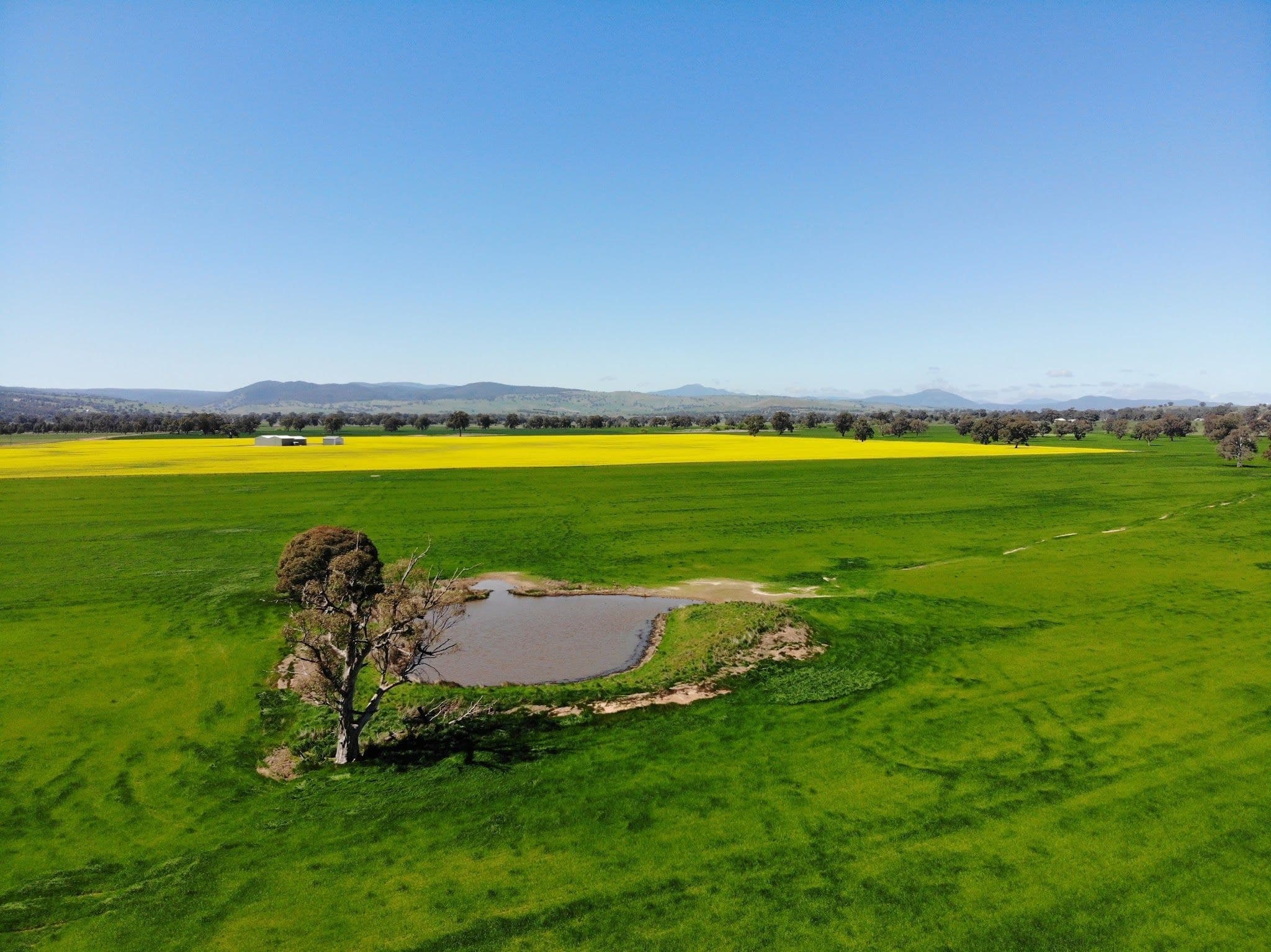 1378 Long Lane, Barwite VIC 3722, Barwite - Image 1