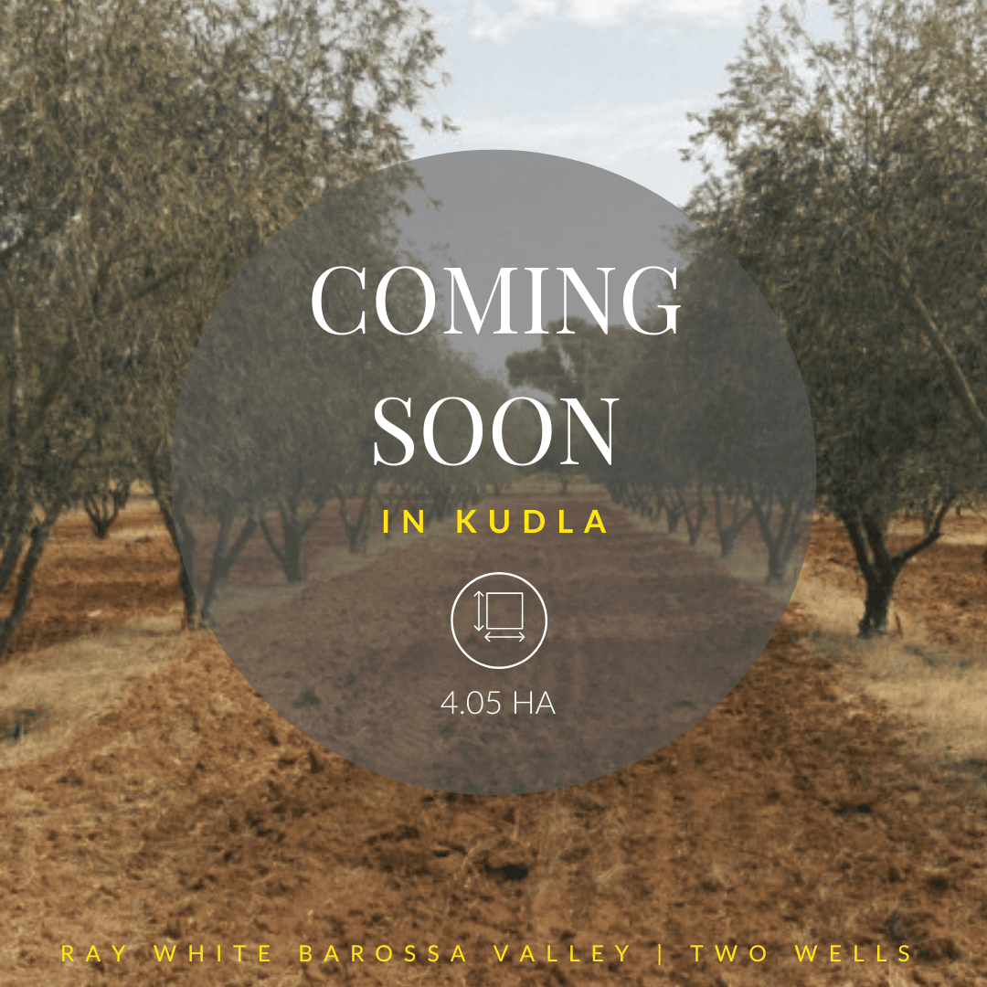 1 Coming Soon, Kudla SA 5115, Kudla - Image 1