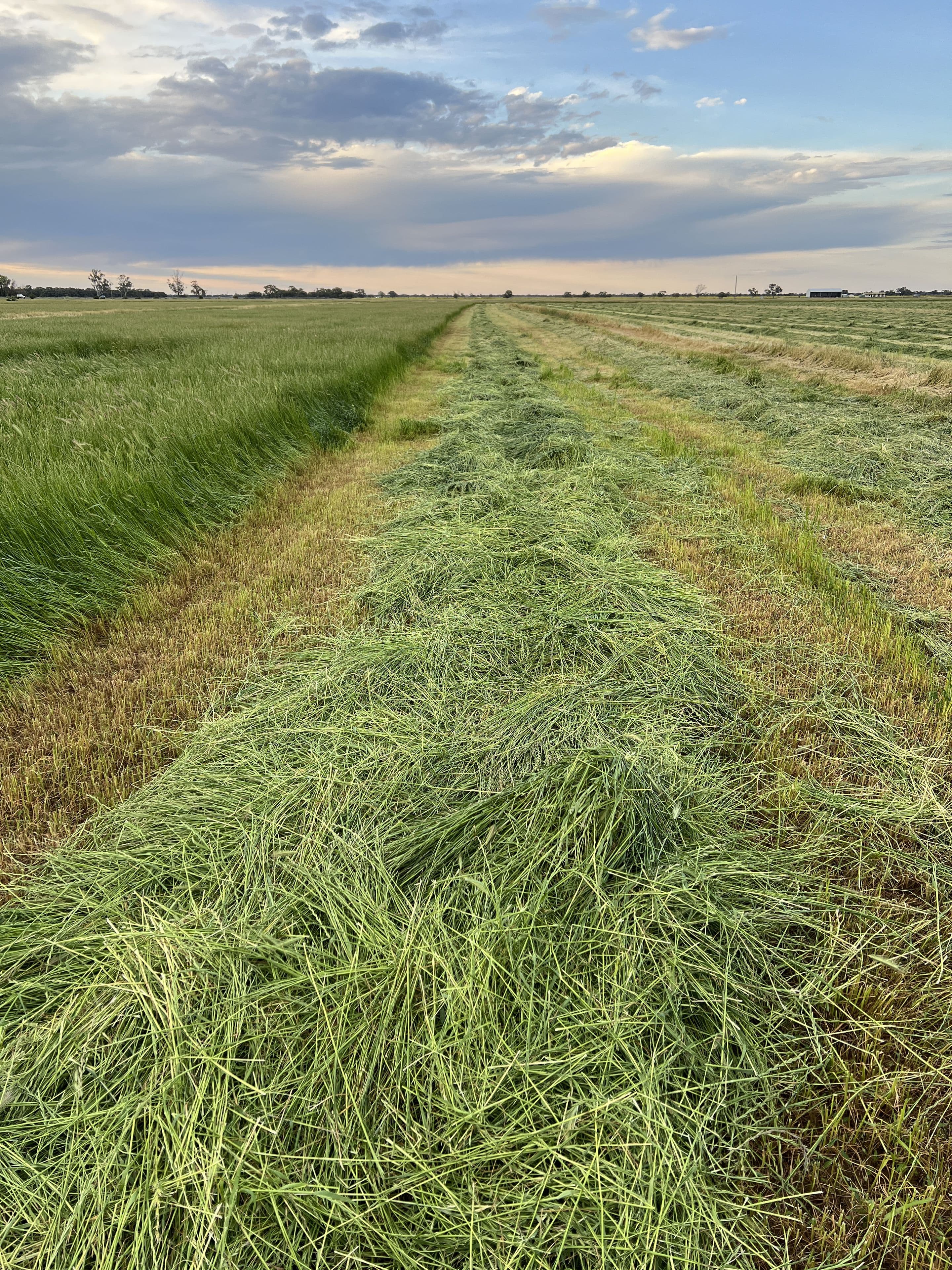 8499 Murray Valley Highway, Kerang East VIC 3579, Kerang East - Image 1