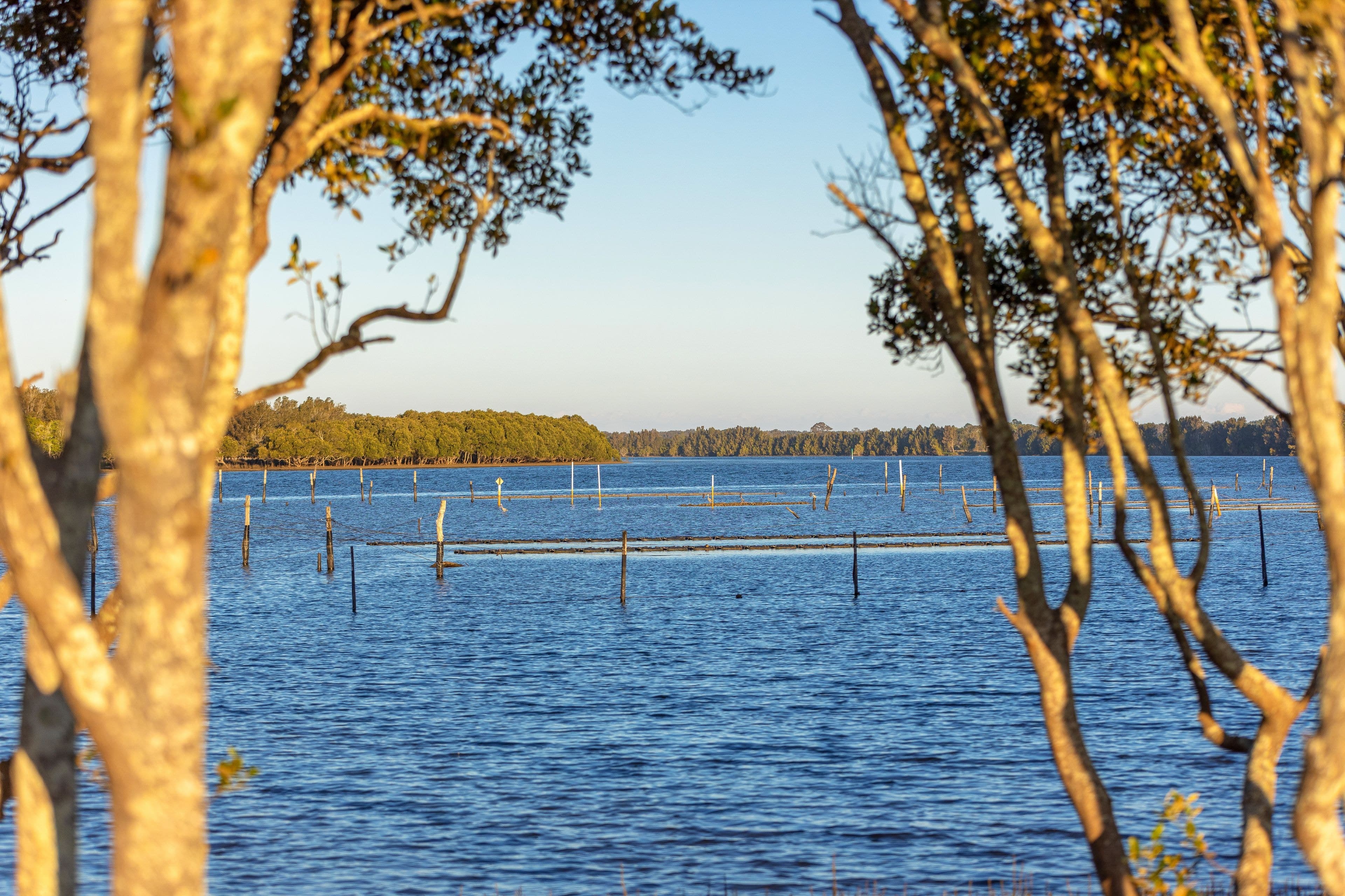 67 Pelican Bay Road, Mitchells Island NSW 2430, Mitchells Island - Image 1