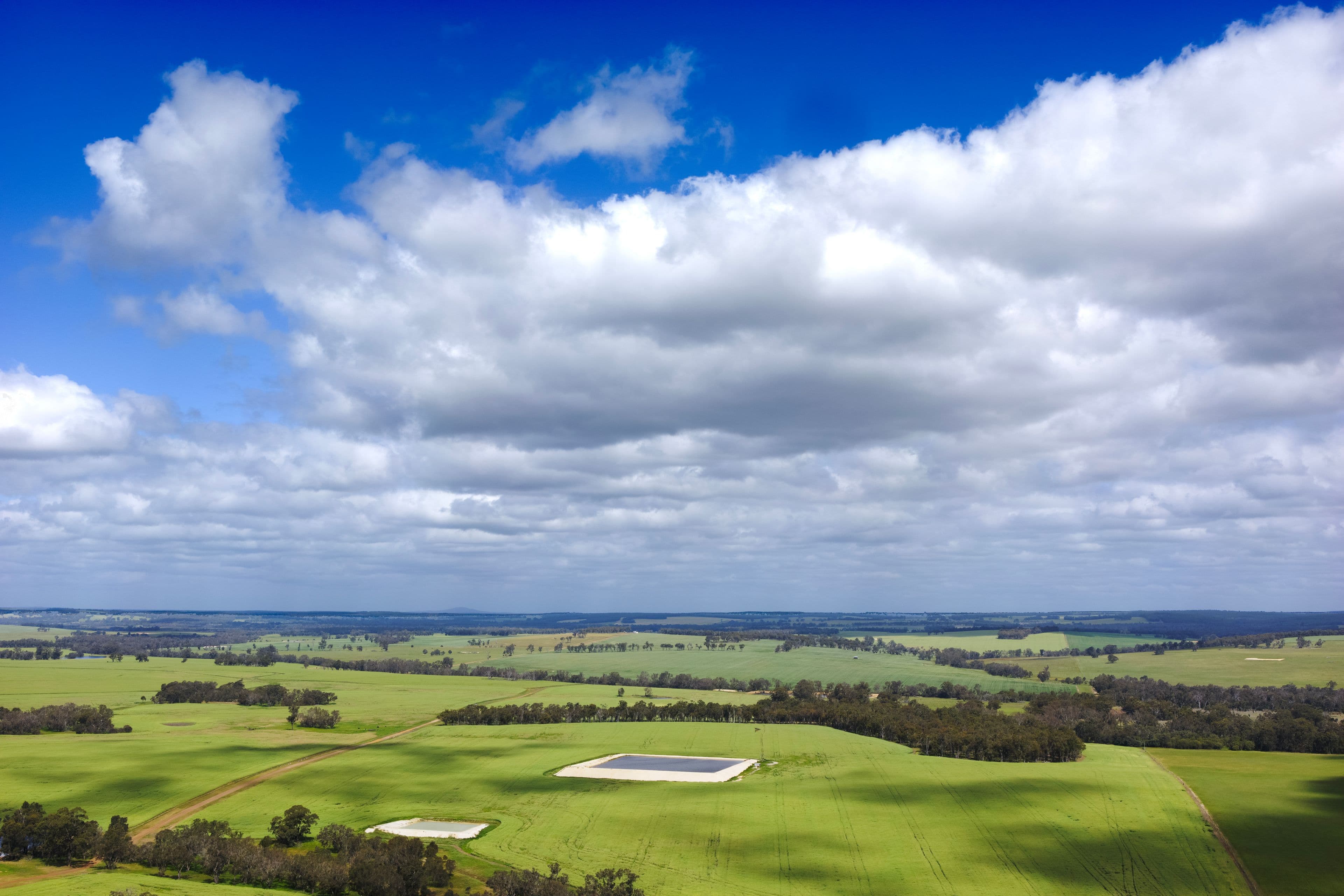 Blackwattle and Russell Road, West Cape Howe, Hay Shed Hill and wineries, Frankland River WA 6396, Frankland River - Image 1