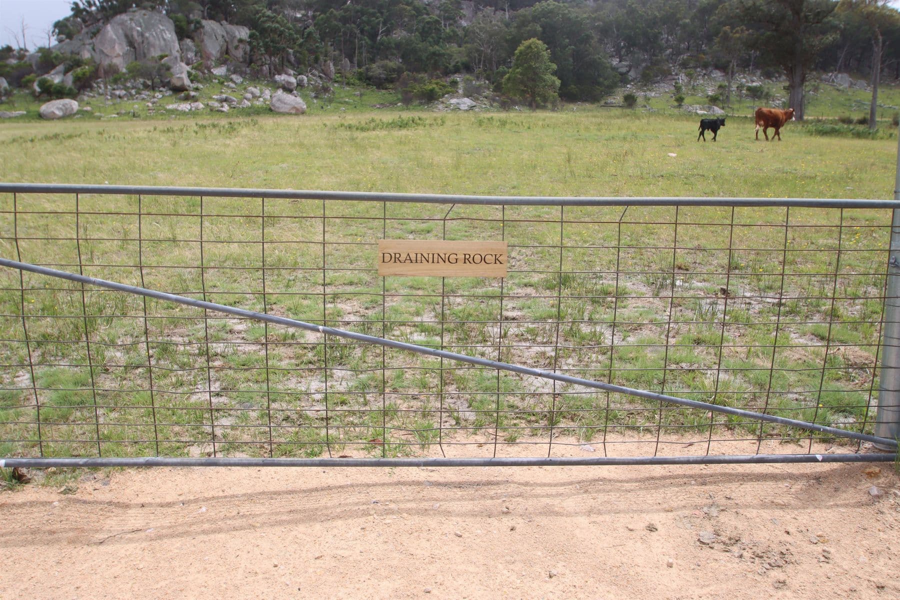 Lot 22 Kildare Road, Tenterfield NSW 2372, Tenterfield - Image 1
