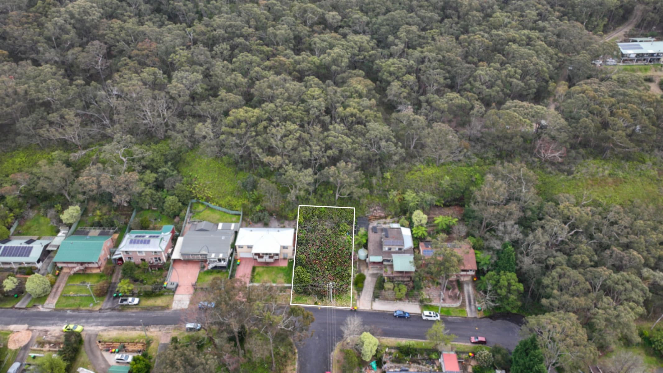 44 Cliff Avenue, Hazelbrook NSW 2779, Hazelbrook - Image 1