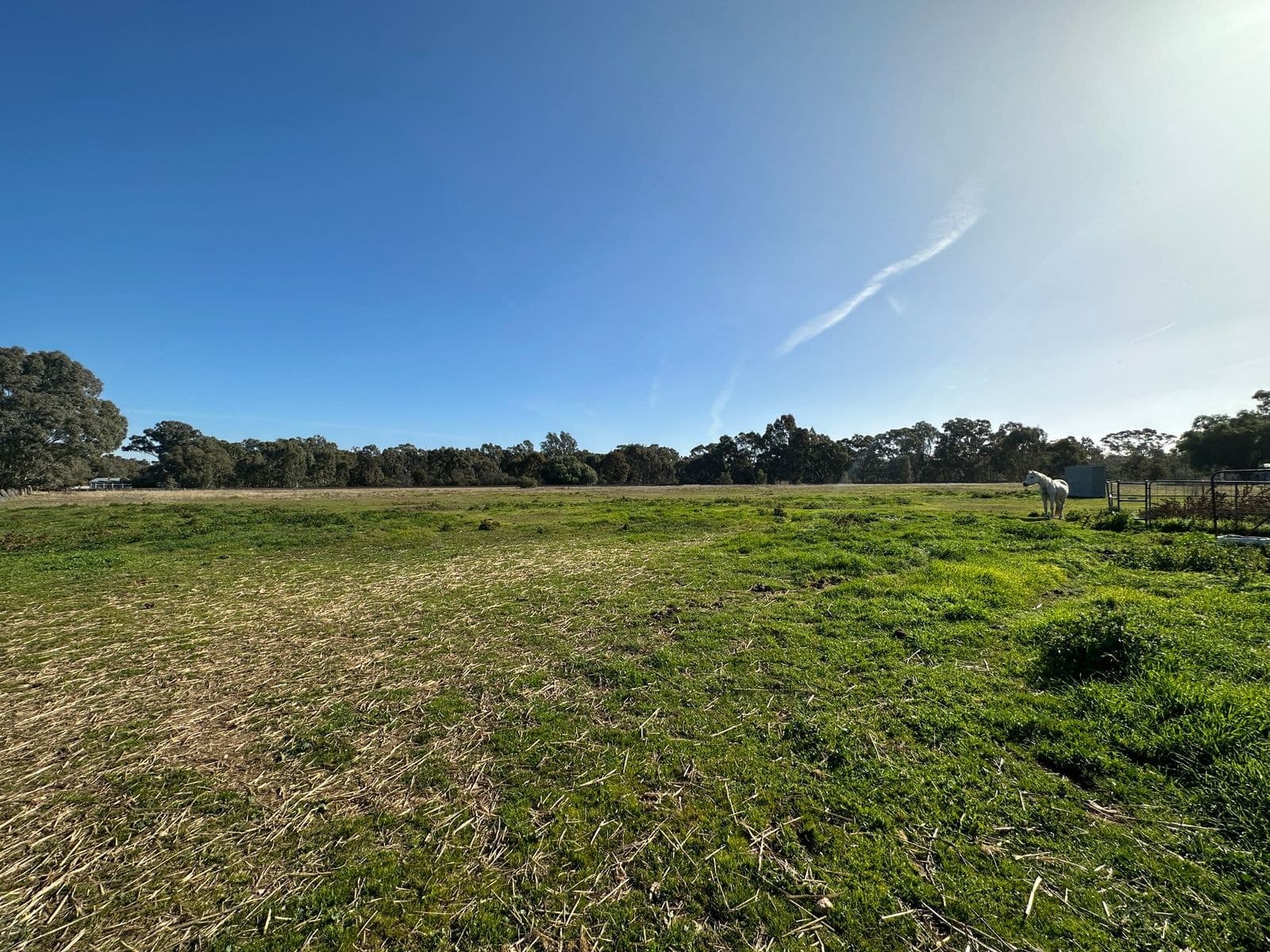 Crn Inkerman & Daly Street, Dunolly VIC 3472, Dunolly - Image 1