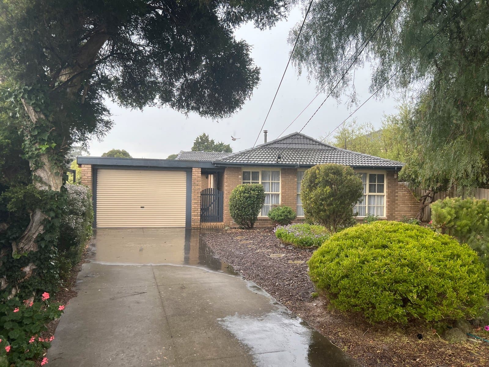 11 Westbury Court, DINGLEY VILLAGE, Dingley Village - Image 1
