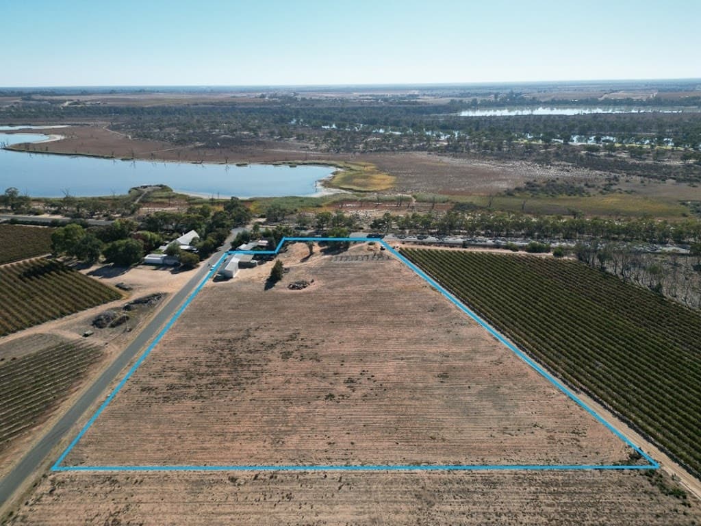 7 The Avenue, Waikerie, SA, 5330, Waikerie - Image 1