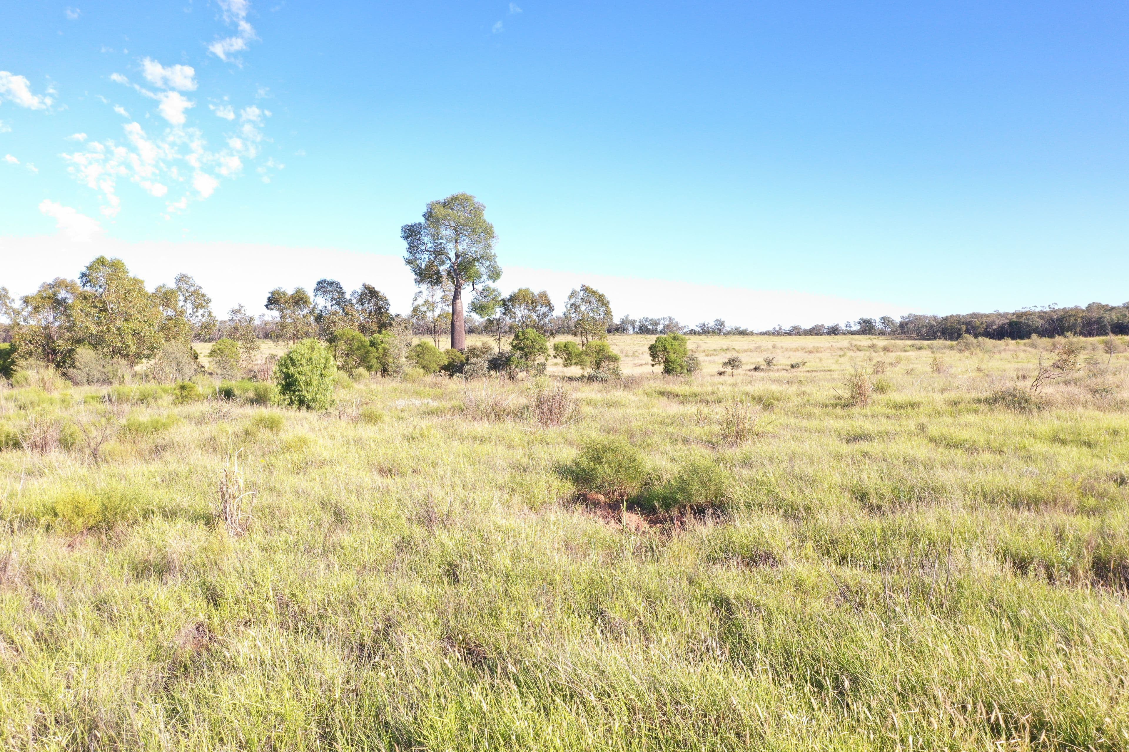 5273 Landsborough Highway, Augathella QLD 4477, Augathella - Image 1