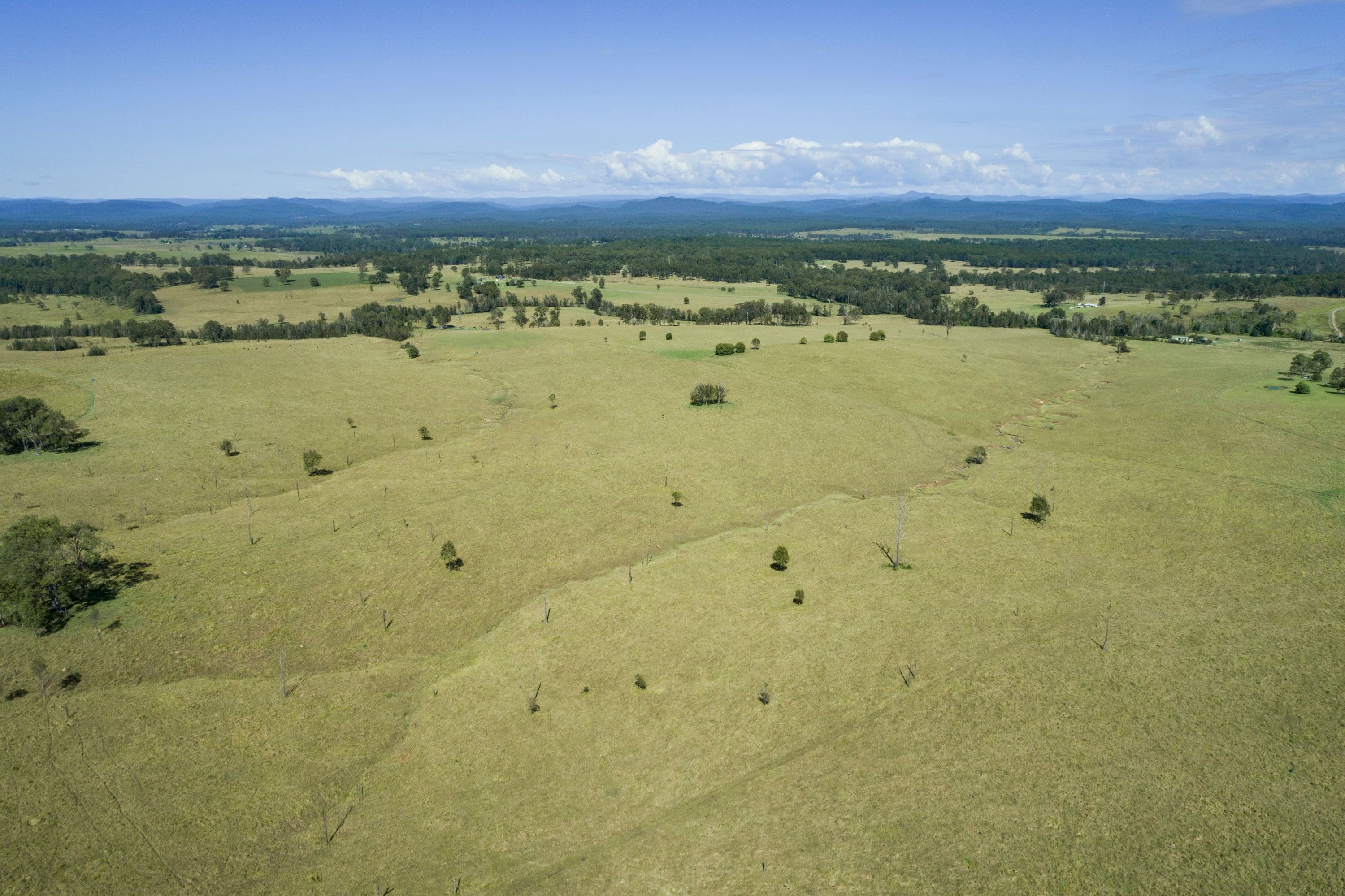 Grafton NSW 2460, Grafton - Image 1
