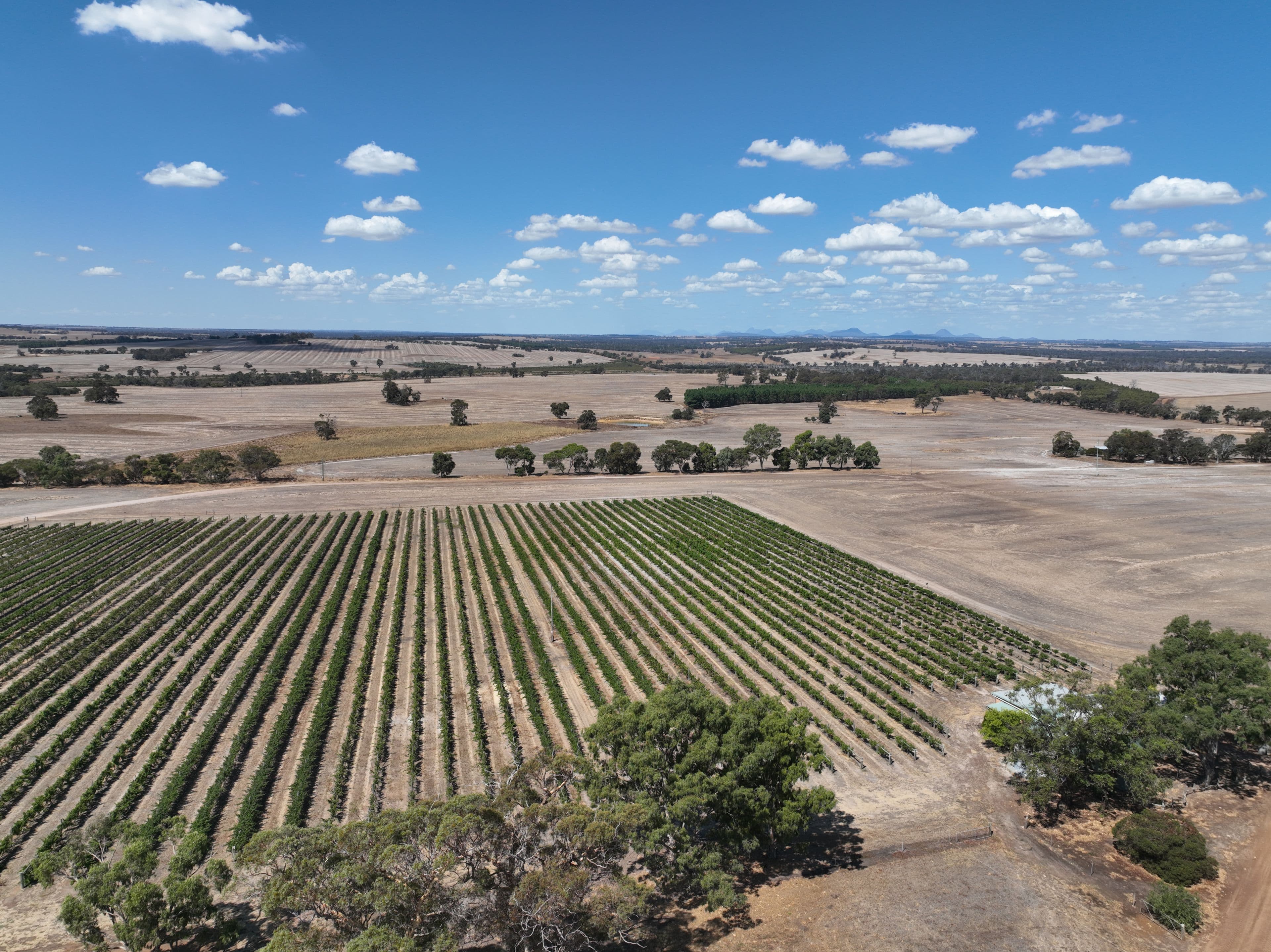 506 Weir Road, Cranbrook WA 6321, Cranbrook - Image 1