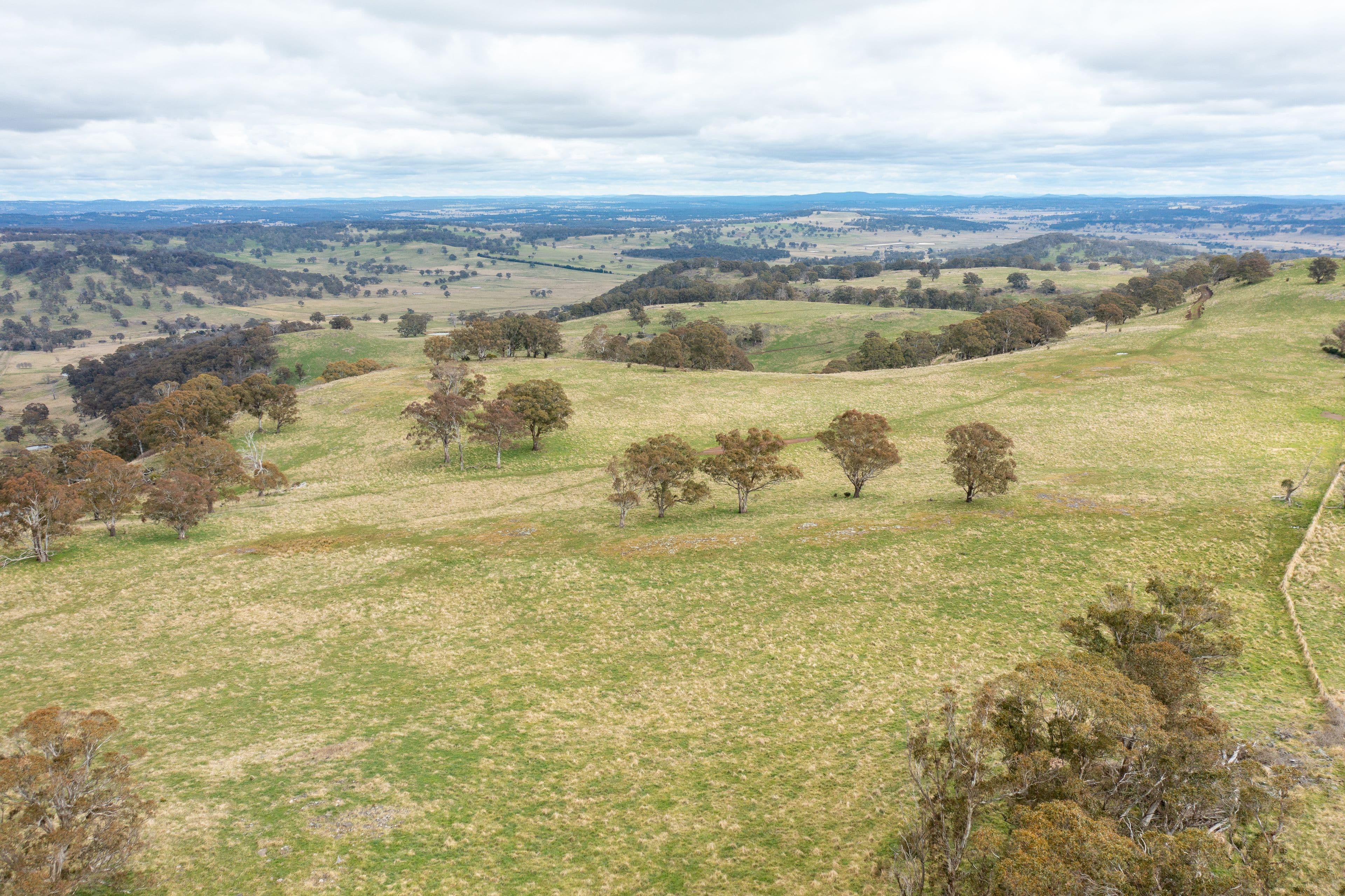 504 Moredun Road, Ben Lomond NSW 2365, Ben Lomond - Image 1