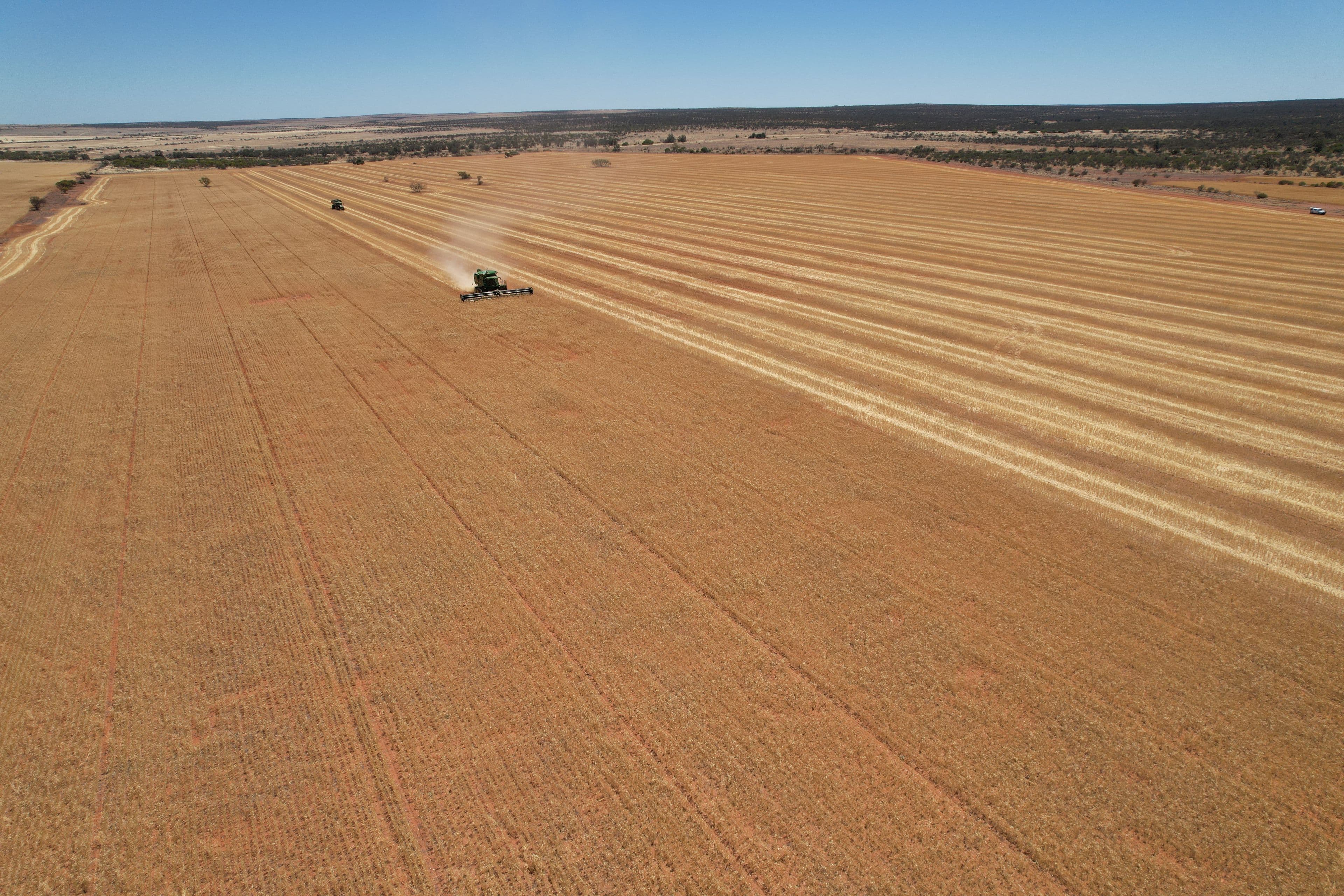 Daisy Downs, 1730 Nuberro Road, Mullewa WA 6630, Mullewa - Image 1