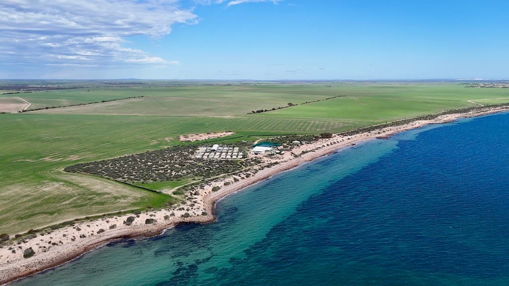 726 Little Islands Road, Streaky Bay, SA, 5680, Streaky Bay - Image 1