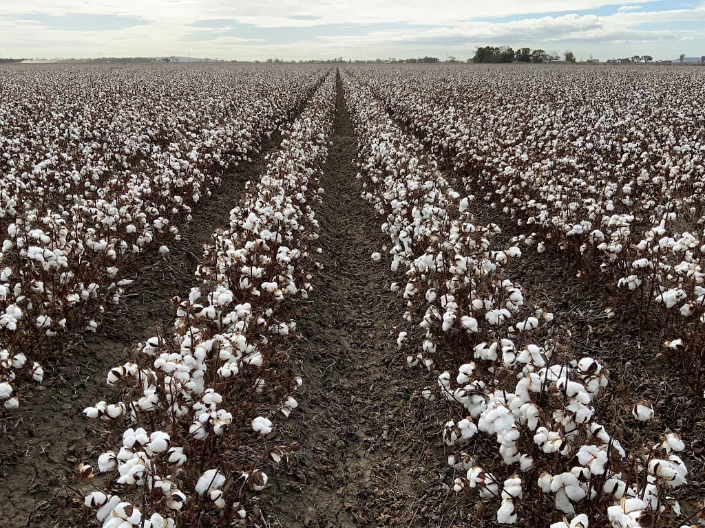 Part Farm 1082, 1386 Murrami Road, Leeton, NSW, 2705, Leeton - Image 1