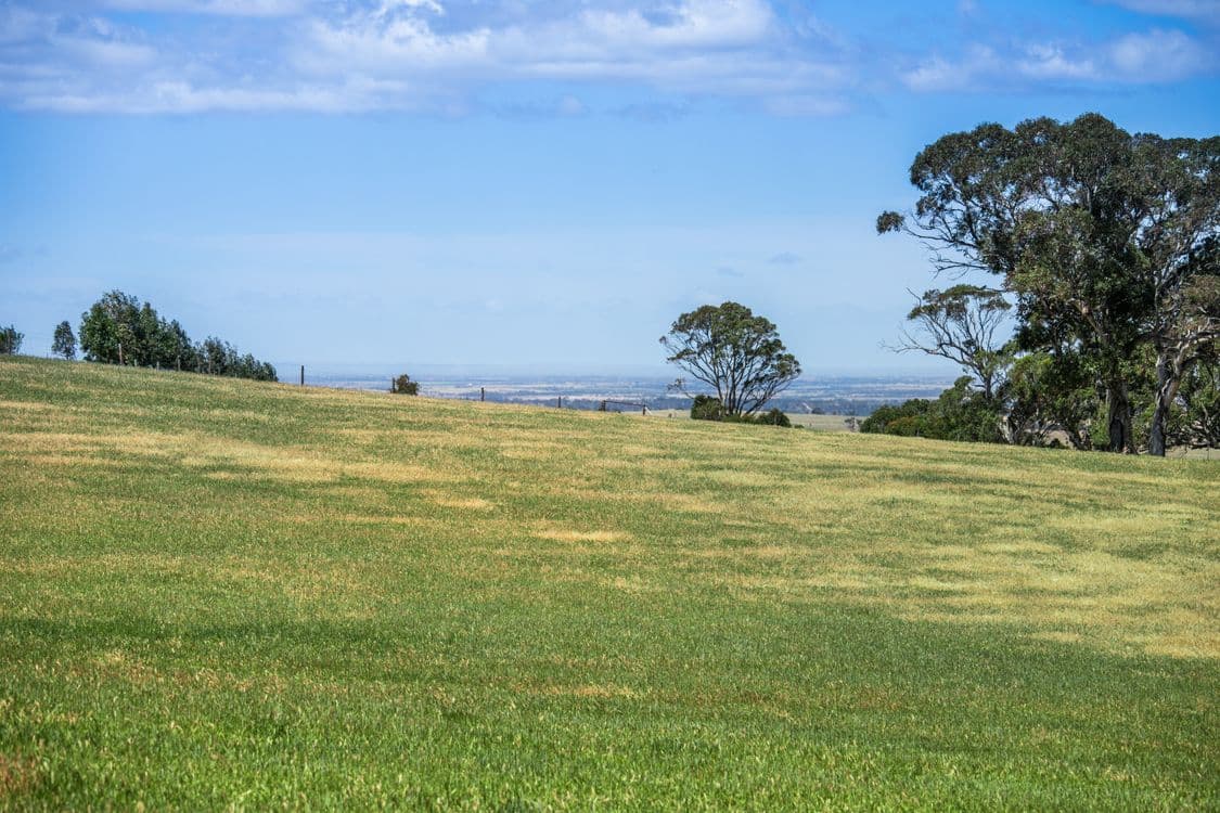 342 Klenke Road, RED CREEK, SA 5255, Red Creek - Image 1