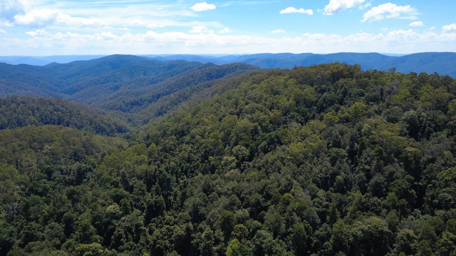 Baxters Ridge Road, GLOUCESTER, Gloucester - Image 1