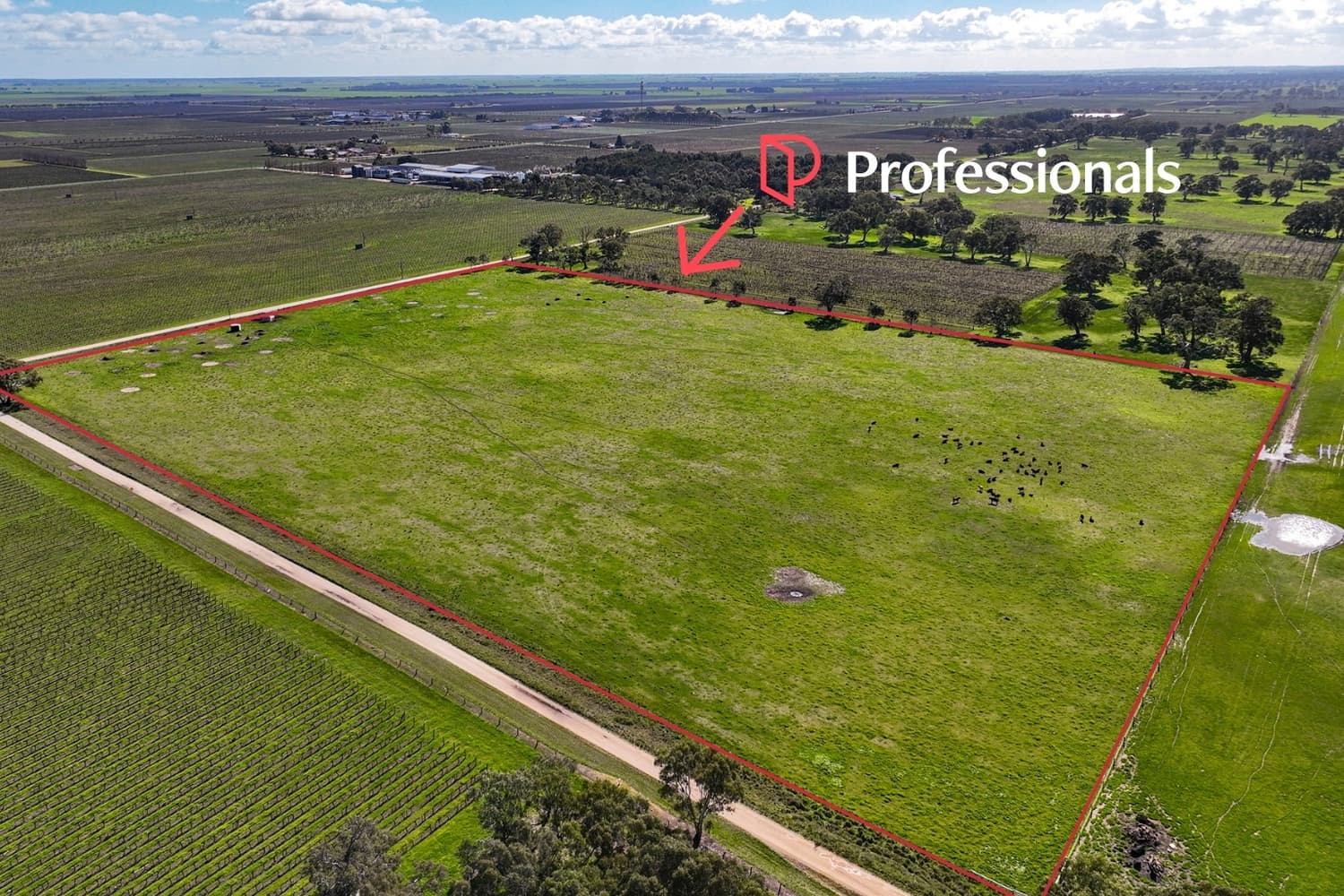 439 Richardson Road, Coonawarra SA 5263, Coonawarra - Image 1