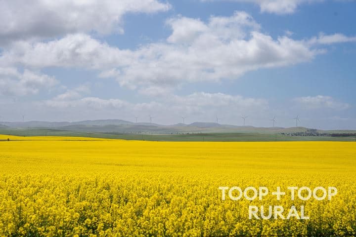 Hardings Road, Black Springs SA 5413, Black Springs - Image 1